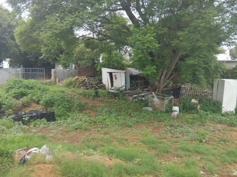 To Let 0 Bedroom Property for Rent in Sunnyside Eastern Cape